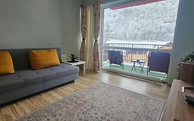Sinaia Mountain View Residence Belleview